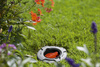 Zawór regulujący i zamykający 3/4" GZ Gardena 02724-20