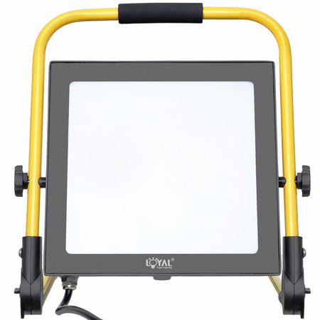 Lampa naświetlacz przenośny LED na stojaku z wtyczką 100W LY-LWL-C100