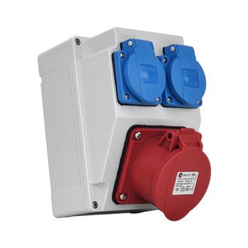 Pusta obudowa rozdzielnicy bez okablowania z gniazdami 16A 400V 2x 230V Schuko pusta rodzielnica elektryczna TpE 3317-200-5000