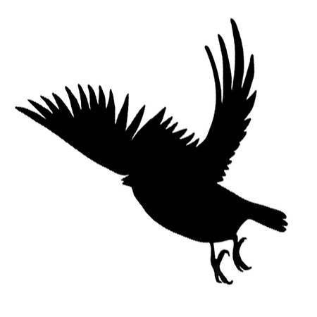 Odstraszacz ptaków BRADAS samoprzylepne naklejki na szybę małe zestaw 9x10 sztuk CTRL-BR001