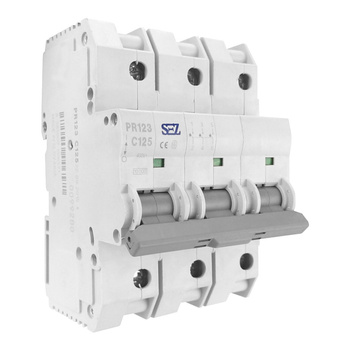 C125A 3P 10kA Wyłącznik nadprądowy bezpiecznik eska PR123 SEZ 0097129