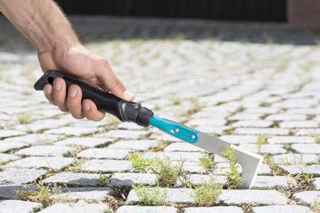 Skrobak skrobaczka do fug Gardena 08959-20