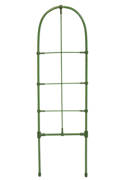 Podpora drabinkowa do roślin 60cm zielona Bradas TYRD60