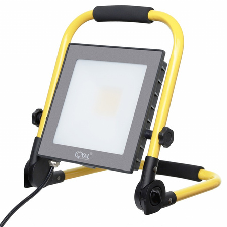 Lampa naświetlacz przenośny LED na stojaku z wtyczką 30W LY-LWL-C-30