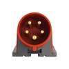 Wtyczka natynkowa CEE 5P 32A 400V IP44 VDE TP Electric 3107-312-1600
