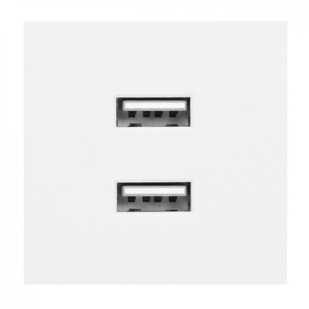 NOEN USB x 2. podwójny port modułowy 45x45mm z ładowarką USB. 2.1A 5V DC. biały OR-GM-9010/W/USBX2
