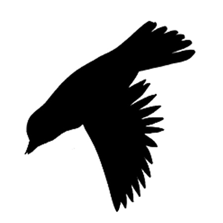 Odstraszacz ptaków BRADAS samoprzylepne naklejki na szybę małe zestaw 9x10 sztuk CTRL-BR001