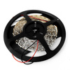 Taśma LED 500 cm 6000K 24W 60 LED/m IP40 D87-LED-06-500-6000K