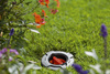 Zawór regulujący i zamykający 3/4" GZ Gardena 02724-20