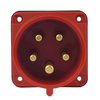 Wtyczka tablicowe prosta CEE 5P 32A 400V IP44 75x75 3107-320-1675