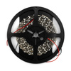 Taśma LED 500 cm 6000K 24W 60 LED/m IP40 D87-LED-06-500-6000K