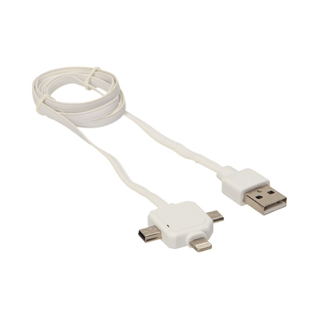 Ładowarka Power USB Cabel 3w1