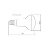 Żarówka LED E14 6W barwa neutralna 4000 K LD-R5060W-40