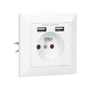 Gniazdo pojedyncze 2P+Z USBx2 OR-AE-13140