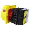 Rozłącznik izolacyjny ML0 32A 4P tablicowy IP54 PCE ML032.4-TB/RG5